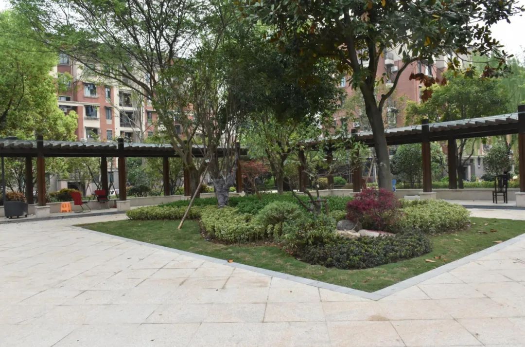 杭州老旧小区综合改造最新进展来了!这些小区很优秀